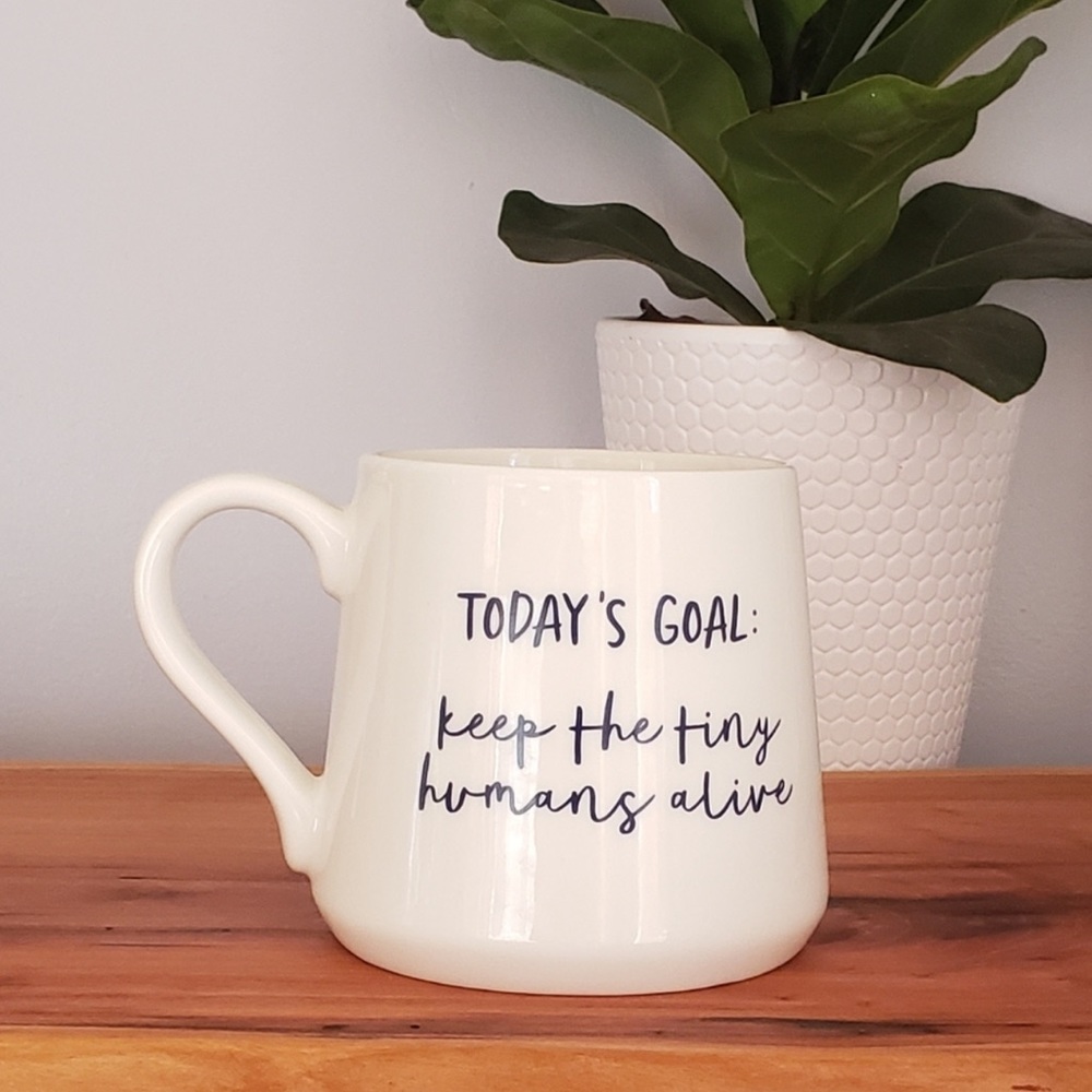 NWOT Threshold Mug